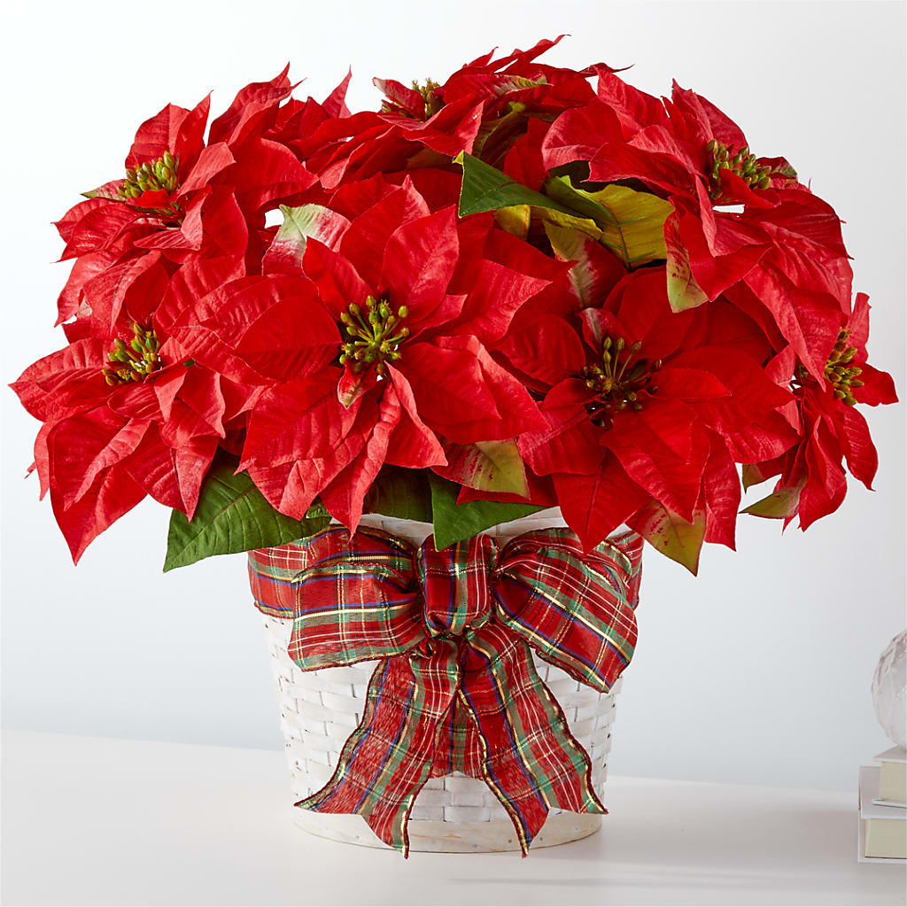 Happiest Holidays Poinsettia – Gainesville Floral Exchange, Gainesville FL