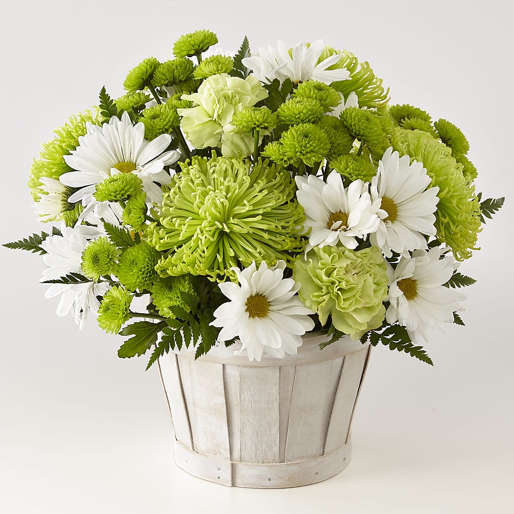 Lucky Charm Basket (Standard) – Gainesville Floral Exchange, Gainesville FL