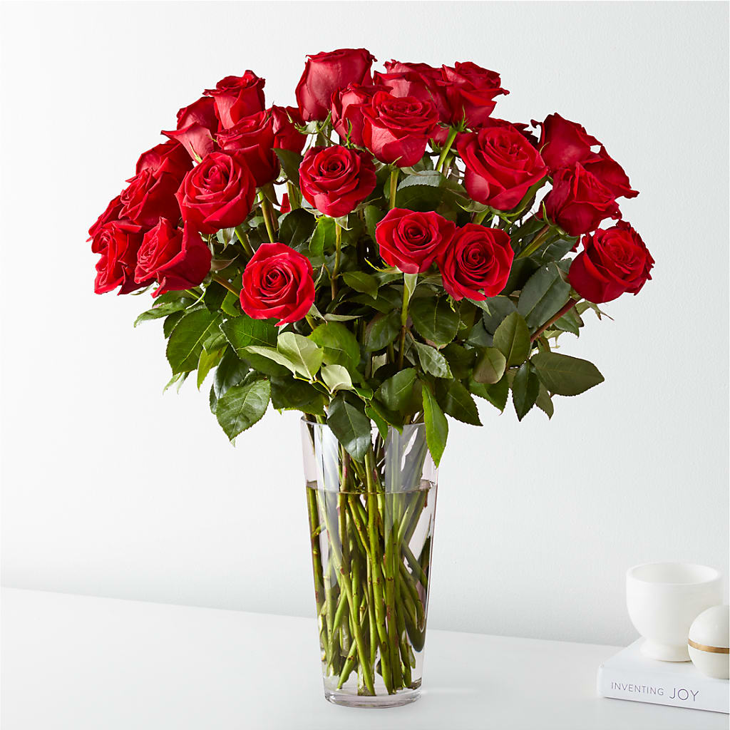 Long Stem Red Rose Bouquet – Gainesville Floral Exchange, Gainesville FL