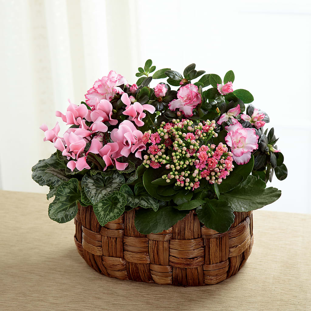 Pink Assortment – Gainesville Floral Exchange, Gainesville FL