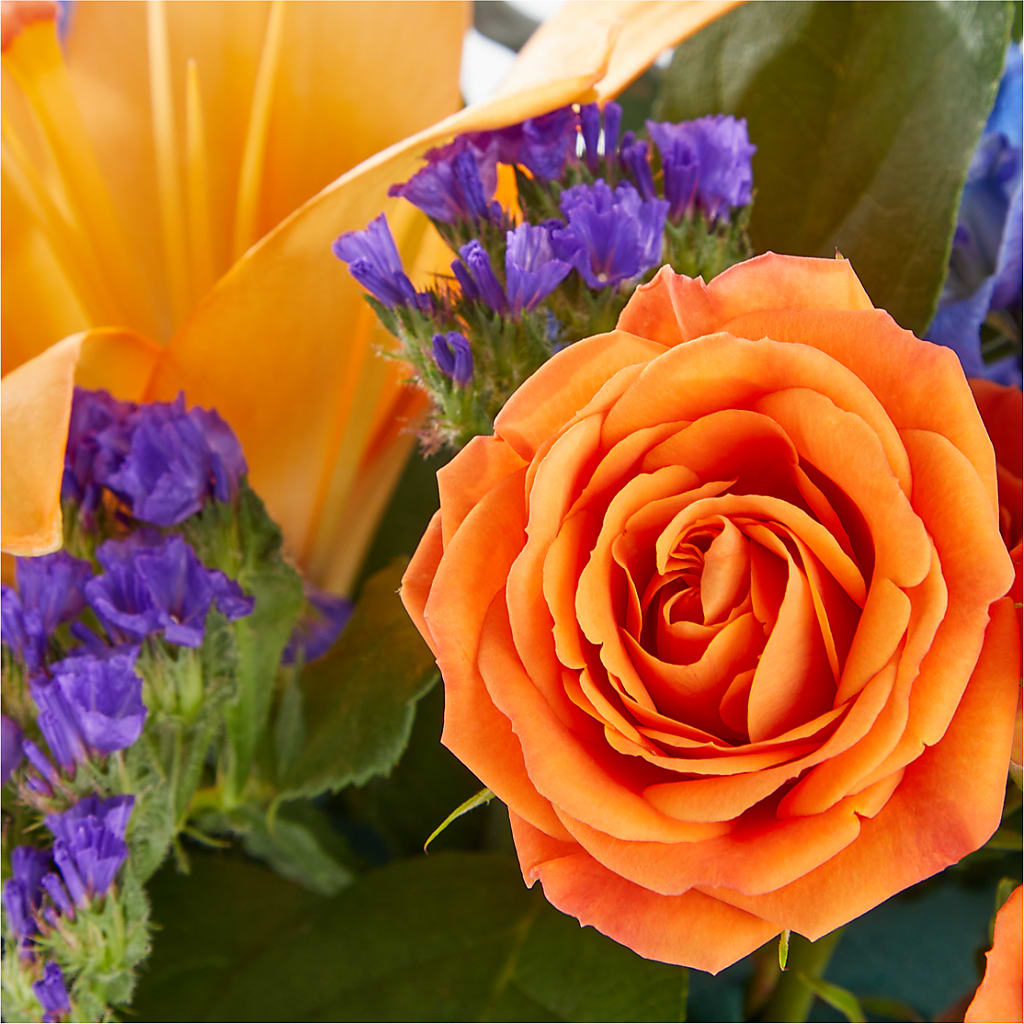 Radiant Citrus Box Bouquet – Gainesville Floral Exchange, Gainesville FL