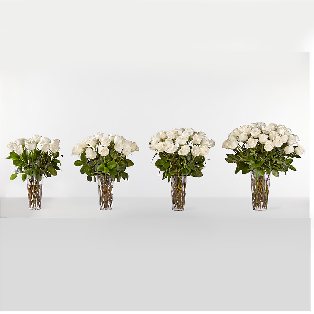 Long Stem White Rose Bouquet – Gainesville Floral Exchange, Gainesville FL