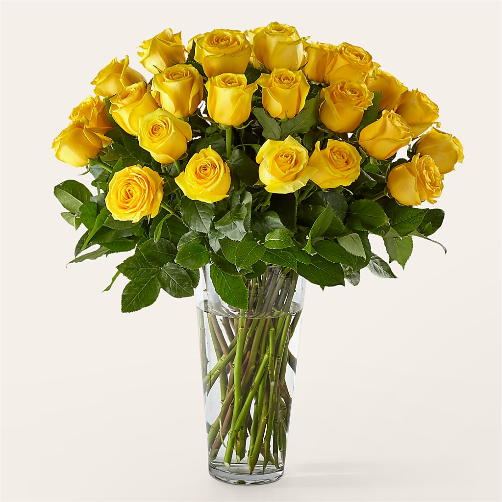 Long Stem Yellow Rose Bouquet – Gainesville Floral Exchange, Gainesville FL