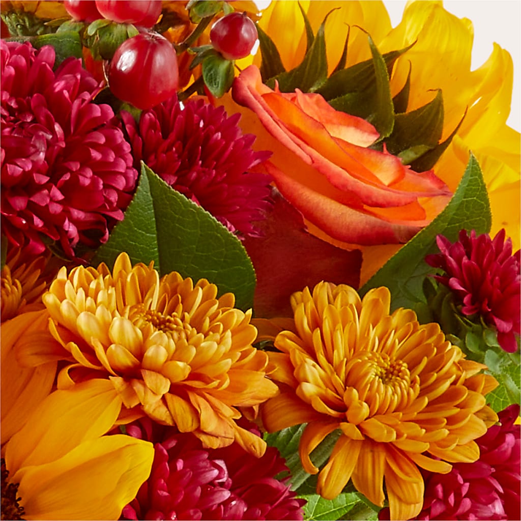 Sweater Season - A Florist Original – Gainesville Floral Exchange, Gainesville FL