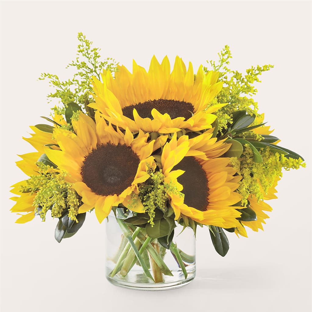 Beaming Sunflower Bouquet – Gainesville Floral Exchange, Gainesville FL