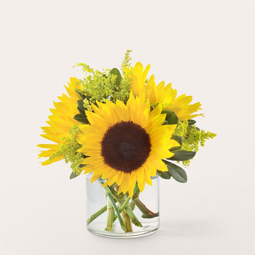 Beaming Sunflower Bouquet – Gainesville Floral Exchange, Gainesville FL