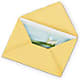 Greeting Card – Gainesville Floral Exchange, Gainesville FL