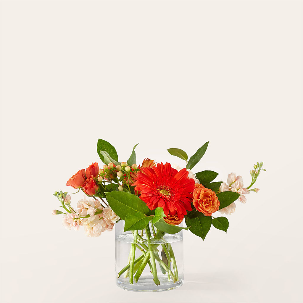 Paloma Please Bouquet – Gainesville Floral Exchange, Gainesville FL