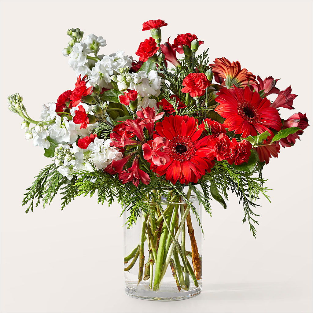 Holidaisy Bouquet – Gainesville Floral Exchange, Gainesville FL