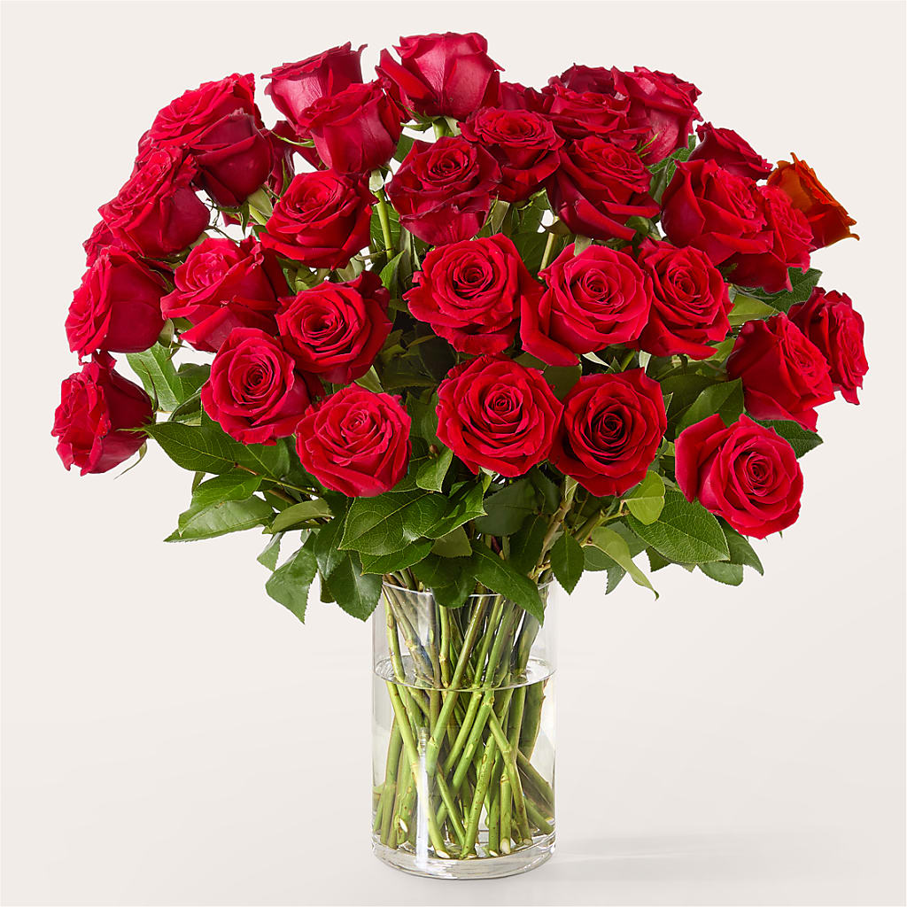 The One Red Rose Bouquet – Gainesville Floral Exchange, Gainesville FL
