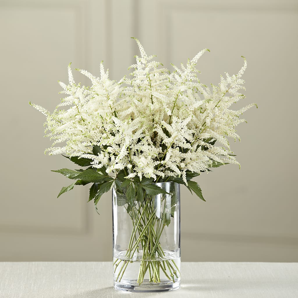 White Astilbe Bouquet – Gainesville Floral Exchange, Gainesville FL