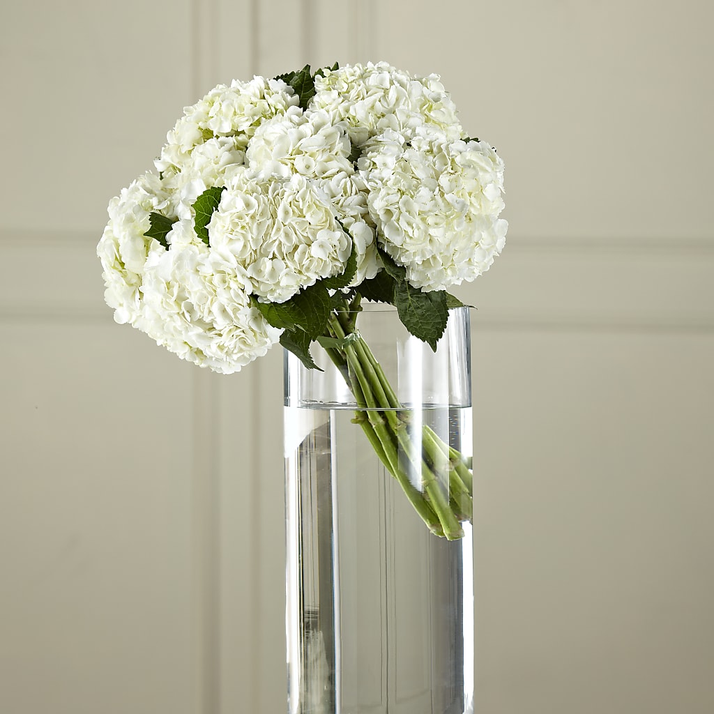 White Hydrangea Hand-Tied Bouquet – Gainesville Floral Exchange, Gainesville FL