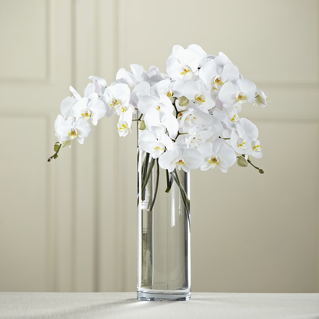 White Phalaenopsis Bouquet – Gainesville Floral Exchange, Gainesville FL
