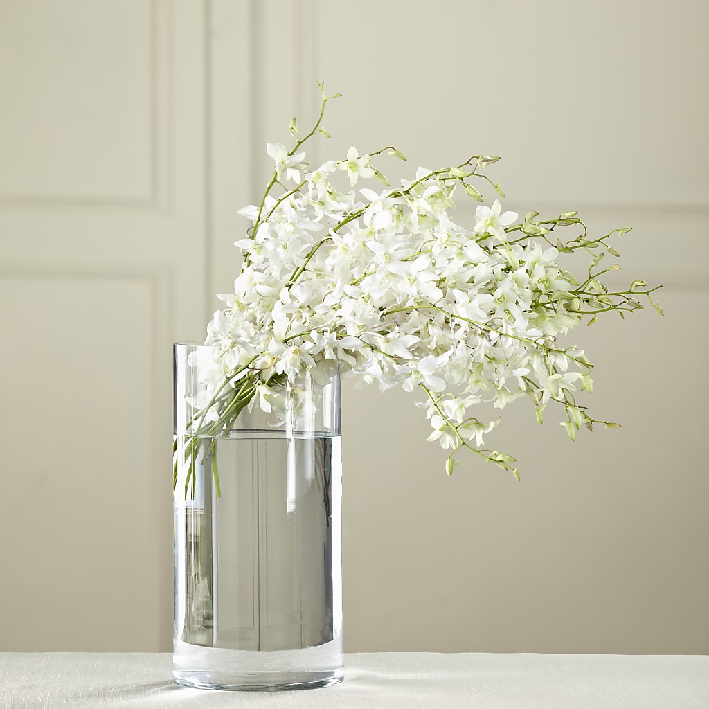 White Dendrobium Bouquet – Gainesville Floral Exchange, Gainesville FL