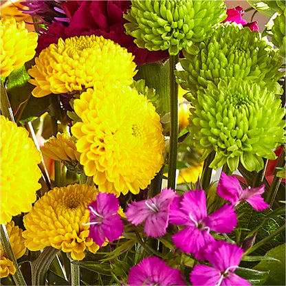 Bold & Bright – A Florist Original –  Gainesville Floral Exchange, Gainesville FL
