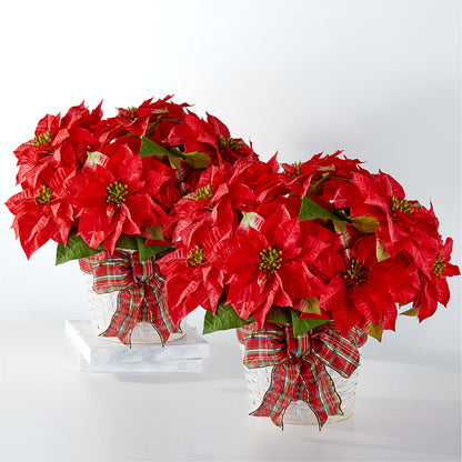 Happiest Holidays Poinsettia Bundle –  Gainesville Floral Exchange, Gainesville FL