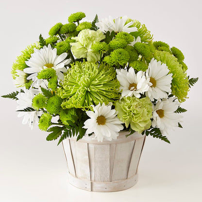 Lucky Charm Basket (Standard) –  Gainesville Floral Exchange, Gainesville FL