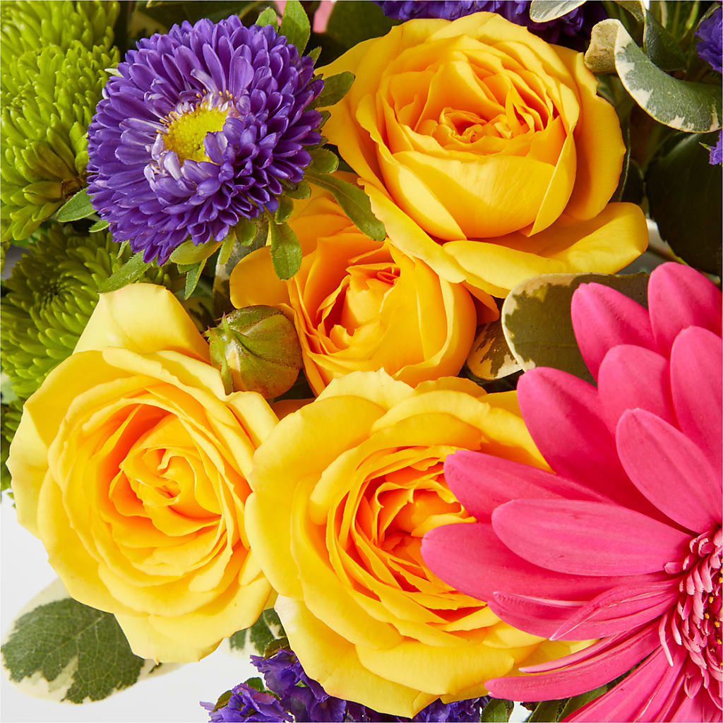 Cheers to You Bouquet –  Gainesville Floral Exchange, Gainesville FL
