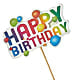 Happy Birthday Pick –  Gainesville Floral Exchange, Gainesville FL