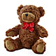 Adorable Plush Bear –  Gainesville Floral Exchange, Gainesville FL