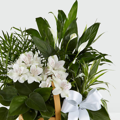 Peace & Serenity Dishgarden –  Gainesville Floral Exchange, Gainesville FL
