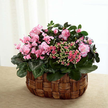Pink Assortment –  Gainesville Floral Exchange, Gainesville FL