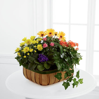 Gentle Blossoms Basket –  Gainesville Floral Exchange, Gainesville FL