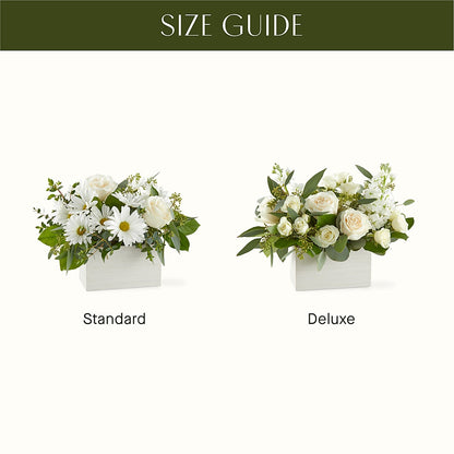 Fresh Linen Box Bouquet –  Gainesville Floral Exchange, Gainesville FL