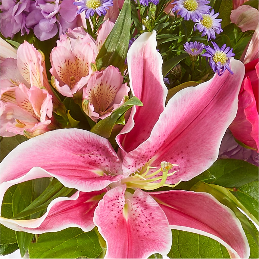 Written in the Stars Bouquet –  Gainesville Floral Exchange, Gainesville FL
