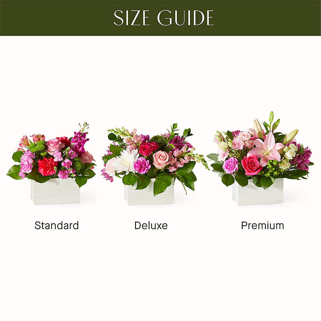 Sweetberry Box – A Florist Original –  Gainesville Floral Exchange, Gainesville FL