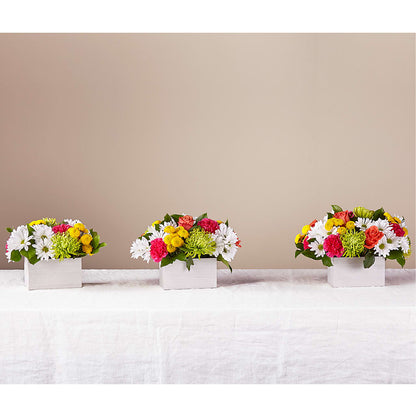 Sorbet Bouquet –  Gainesville Floral Exchange, Gainesville FL