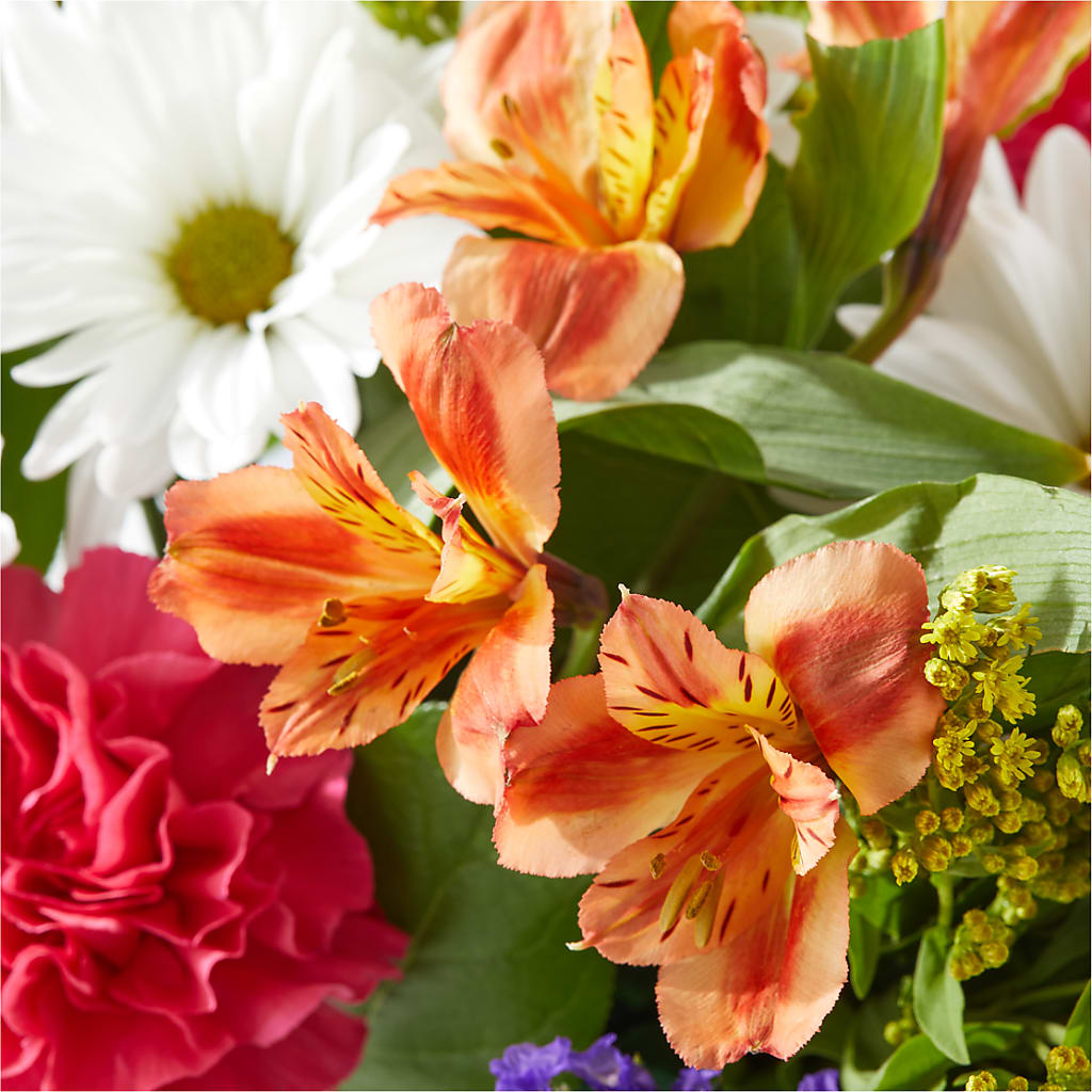 Oopsie Daisy Box Bouquet –  Gainesville Floral Exchange, Gainesville FL