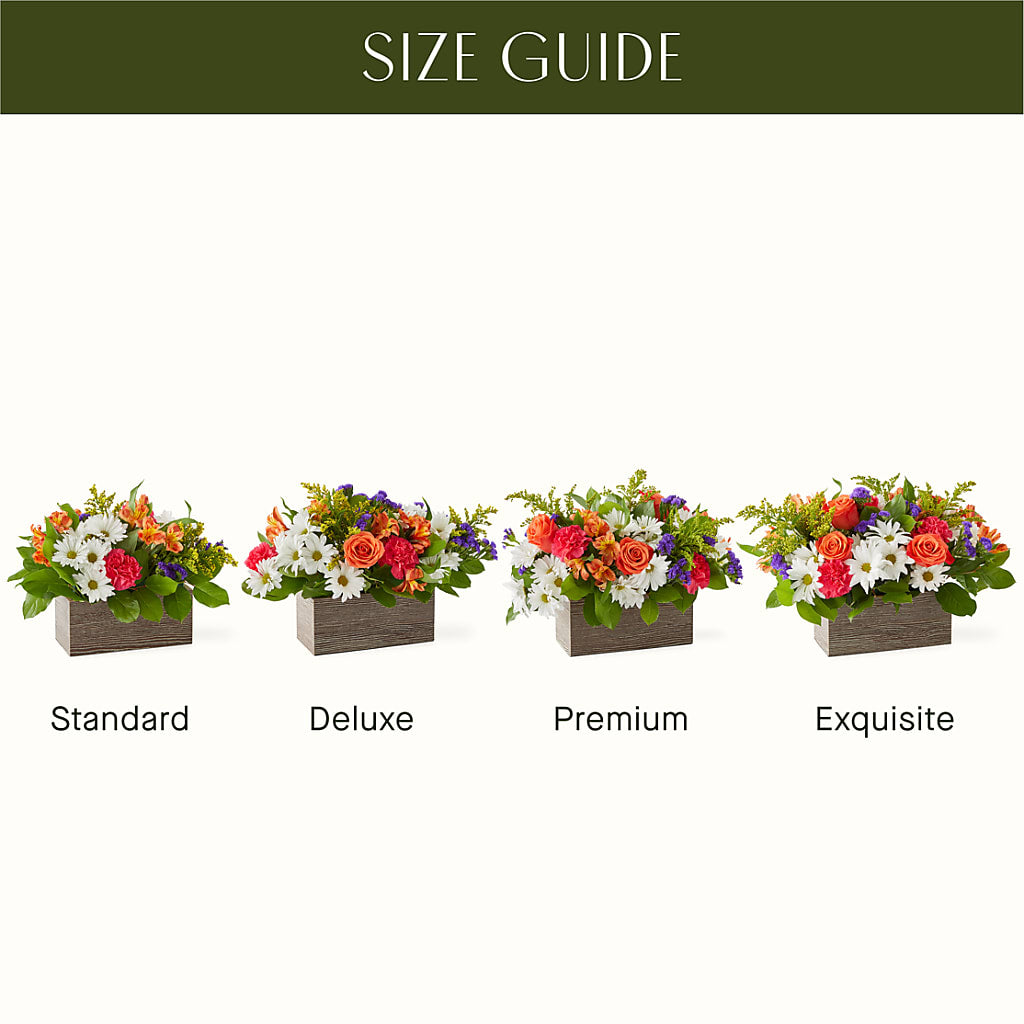 Oopsie Daisy Box Bouquet –  Gainesville Floral Exchange, Gainesville FL