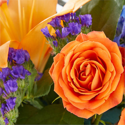 Radiant Citrus Box Bouquet –  Gainesville Floral Exchange, Gainesville FL