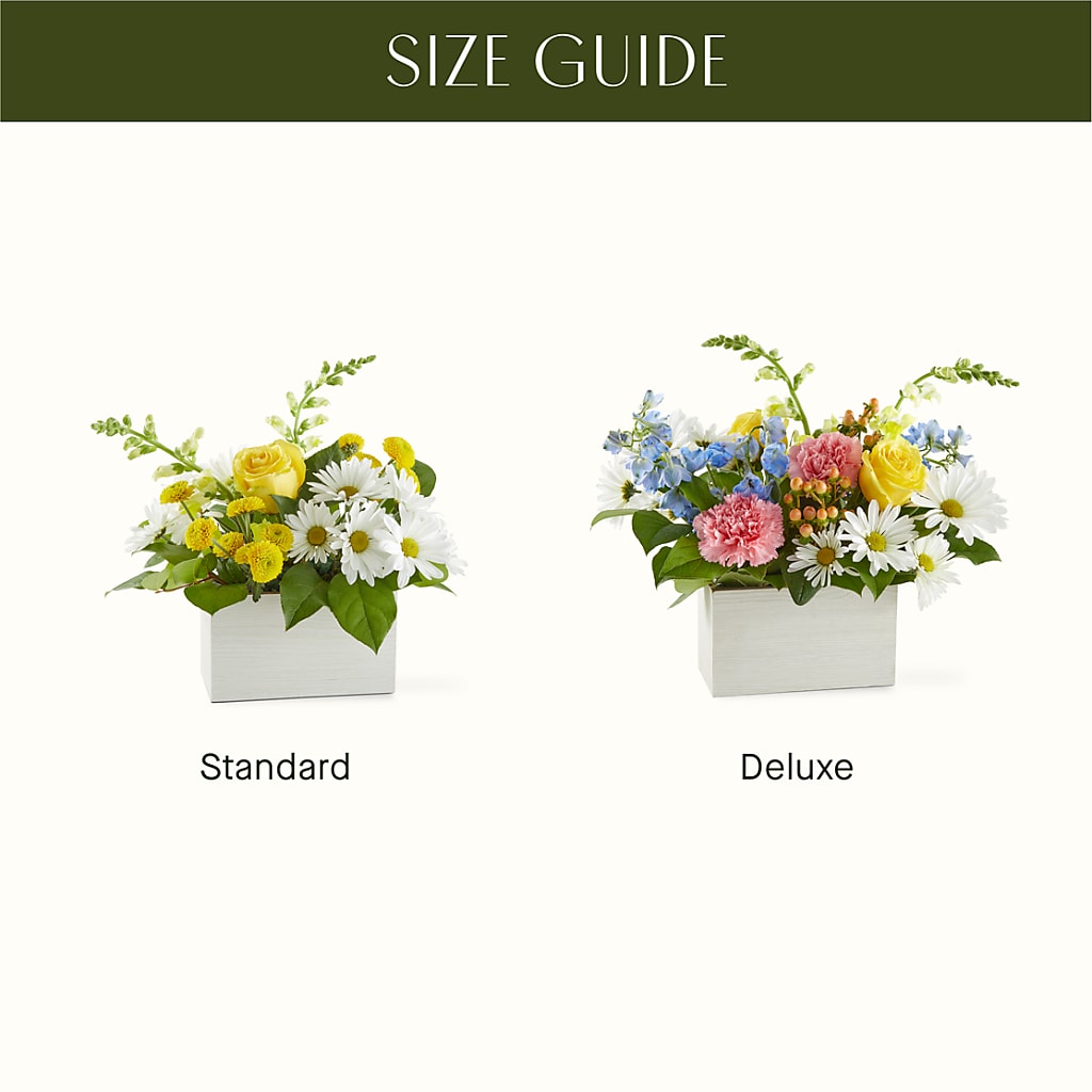 Sun Salutation Box Bouquet –  Gainesville Floral Exchange, Gainesville FL