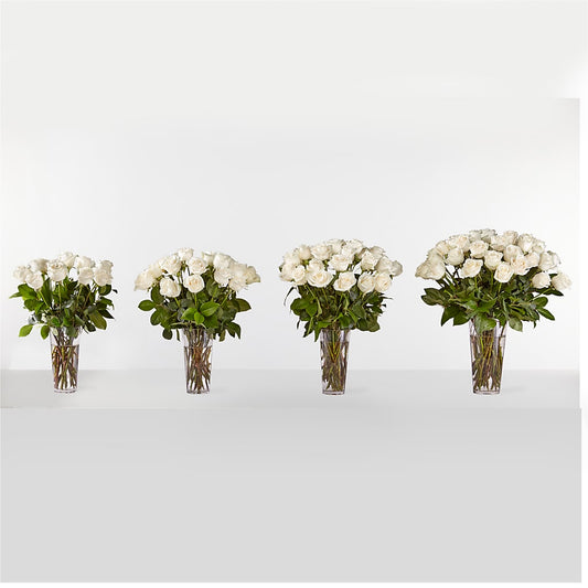Long Stem White Rose Bouquet –  Gainesville Floral Exchange, Gainesville FL