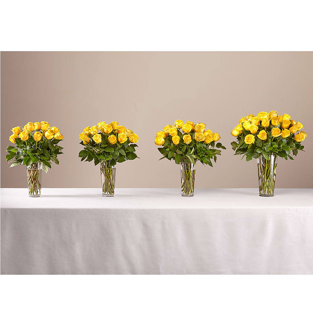 Long Stem Yellow Rose Bouquet –  Gainesville Floral Exchange, Gainesville FL