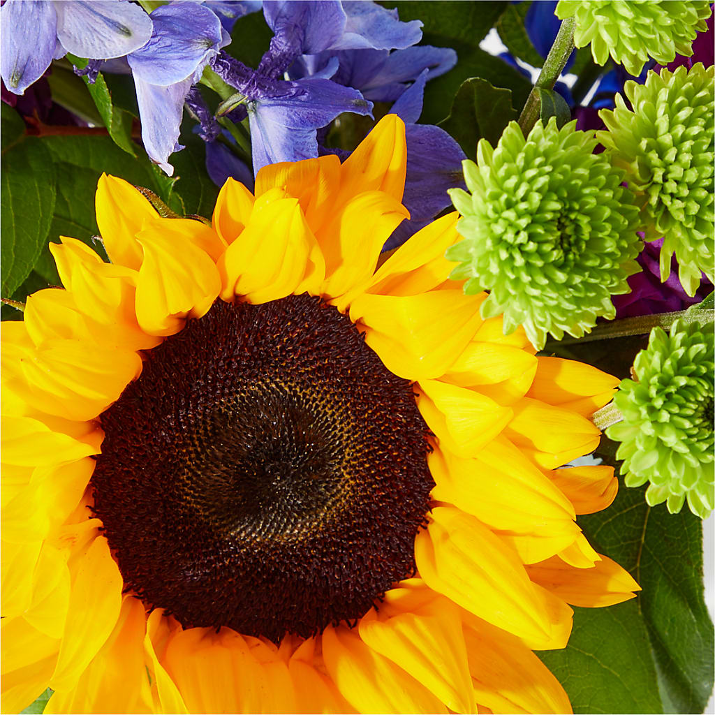 Catching Rays Bouquet –  Gainesville Floral Exchange, Gainesville FL