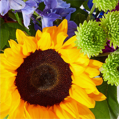 Catching Rays Bouquet –  Gainesville Floral Exchange, Gainesville FL
