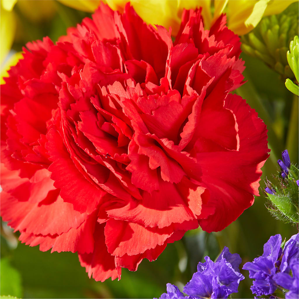 Brighter Days Bouquet –  Gainesville Floral Exchange, Gainesville FL