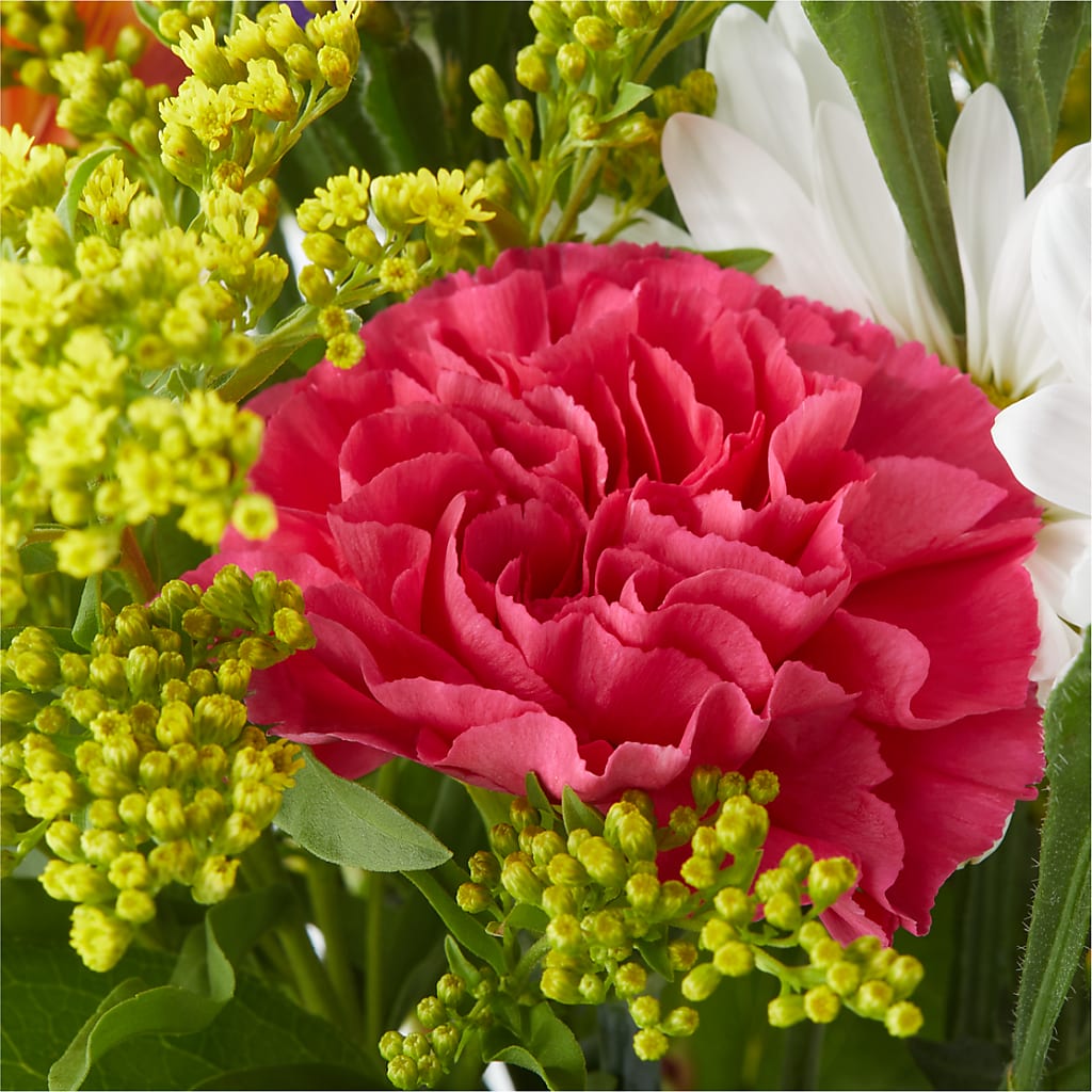 Oopsie Daisy Bouquet –  Gainesville Floral Exchange, Gainesville FL