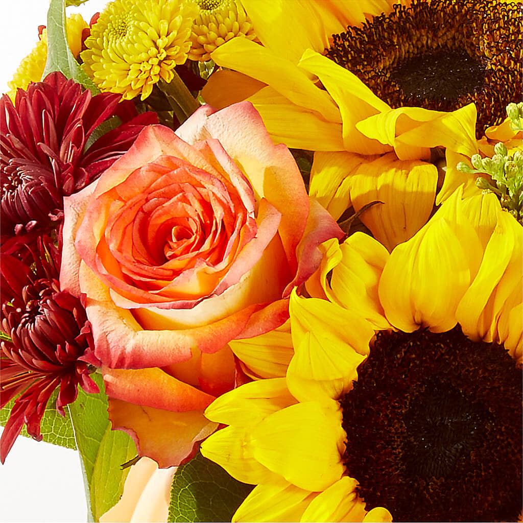 Golden Gourd Pumpkin Bouquet –  Gainesville Floral Exchange, Gainesville FL
