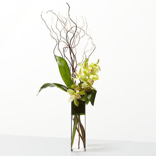 The Statement –  Gainesville Floral Exchange, Gainesville FL