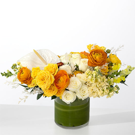 The Optimist –  Gainesville Floral Exchange, Gainesville FL