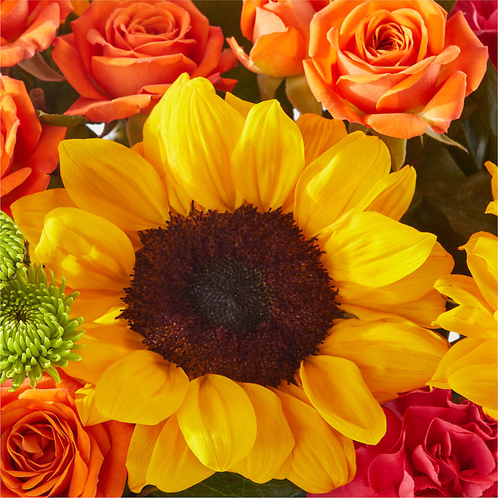Sun-drenched Blooms Box Bouquet –  Gainesville Floral Exchange, Gainesville FL