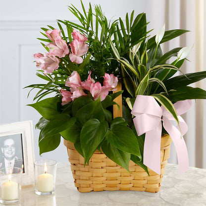Living Spirit Dishgarden –  Gainesville Floral Exchange, Gainesville FL