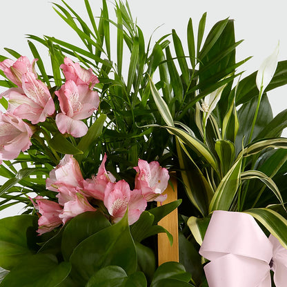 Living Spirit Dishgarden –  Gainesville Floral Exchange, Gainesville FL
