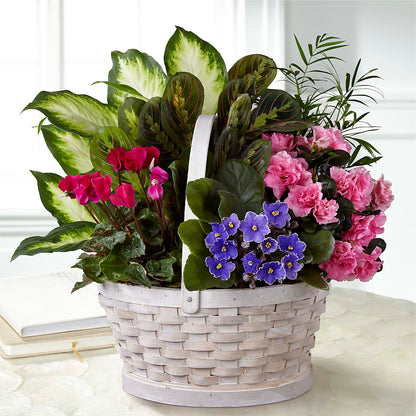 Peaceful Garden Planter –  Gainesville Floral Exchange, Gainesville FL