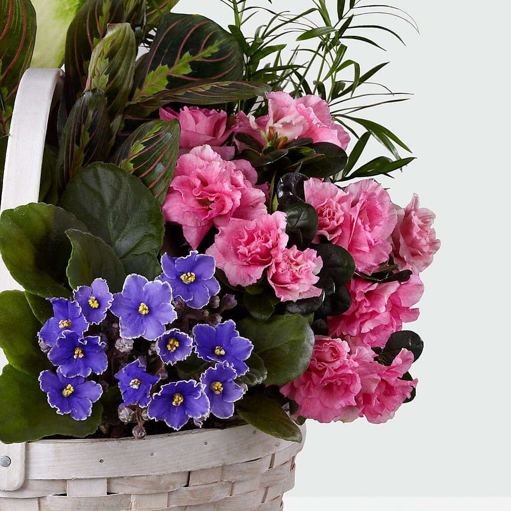 Peaceful Garden Planter –  Gainesville Floral Exchange, Gainesville FL