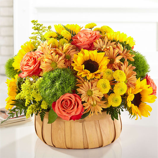 Harvest Sunflower Basket –  Gainesville Floral Exchange, Gainesville FL